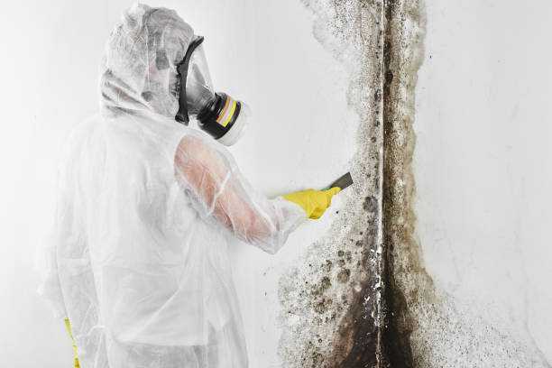 Best Mold Testing  in Orchard Hills, PA