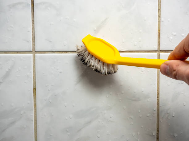 Best Mold Removal Near Me  in Orchard Hills, PA