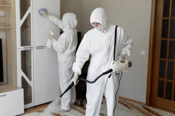 Mold Removal Process in Orchard Hills, PA